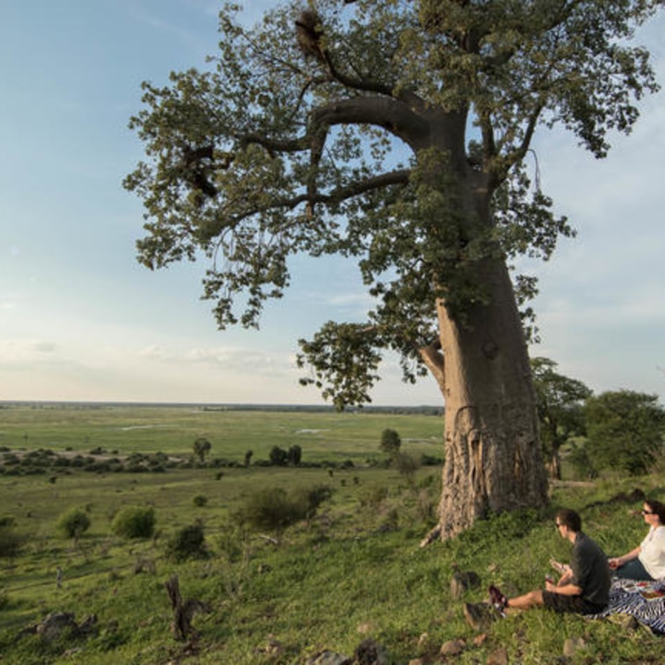 Muchenje Safari Lodge